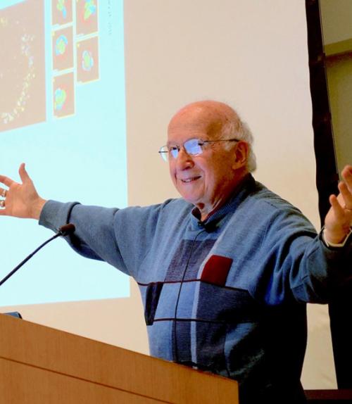 		 Photo of Roald Hoffman giving a presentation 
	