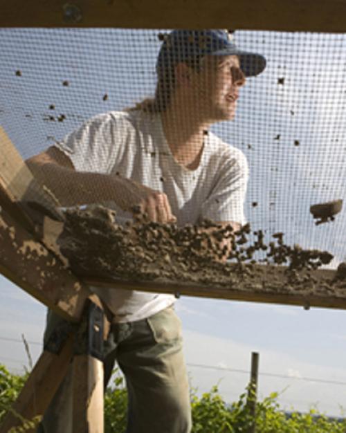 		 Beekeeping
	