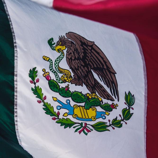 		close up of green, white and red flag with eagle crest
	