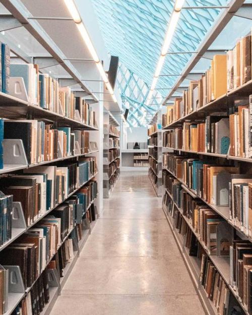 		View between two library shelves full of books
	