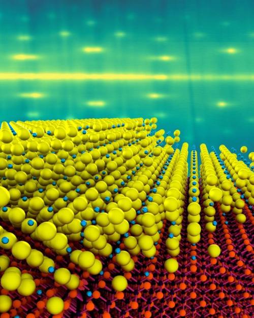 		Graphic with hundreds of yellow dots
	