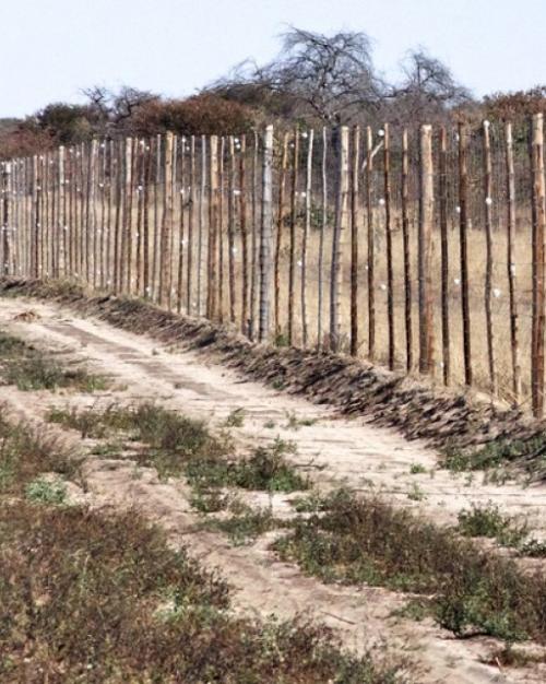 		Fence made of wooden posts in a dry place
	