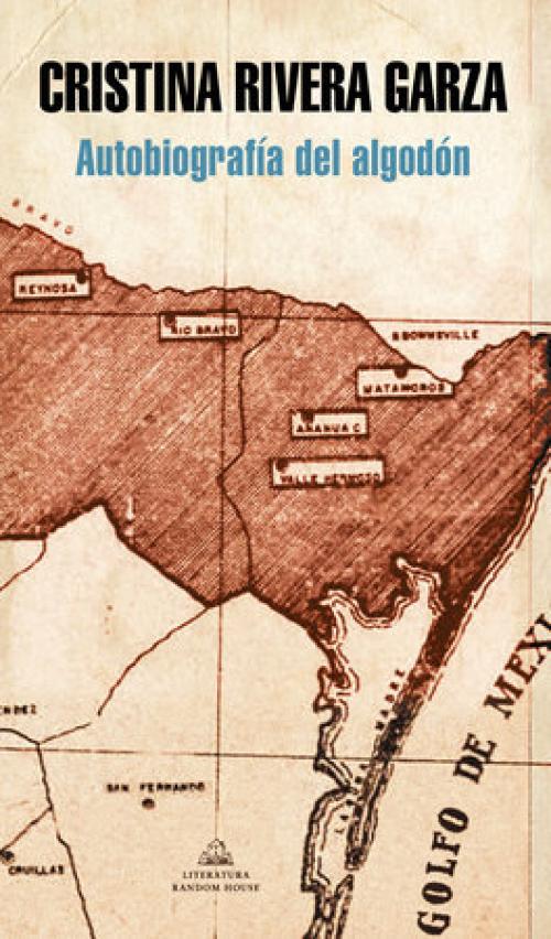 A map of the land next to the Gulf of Mexico all in brown