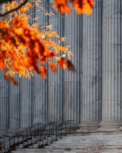 		Red, sun-lit leaves foreground massive stone pillars on a court building
	