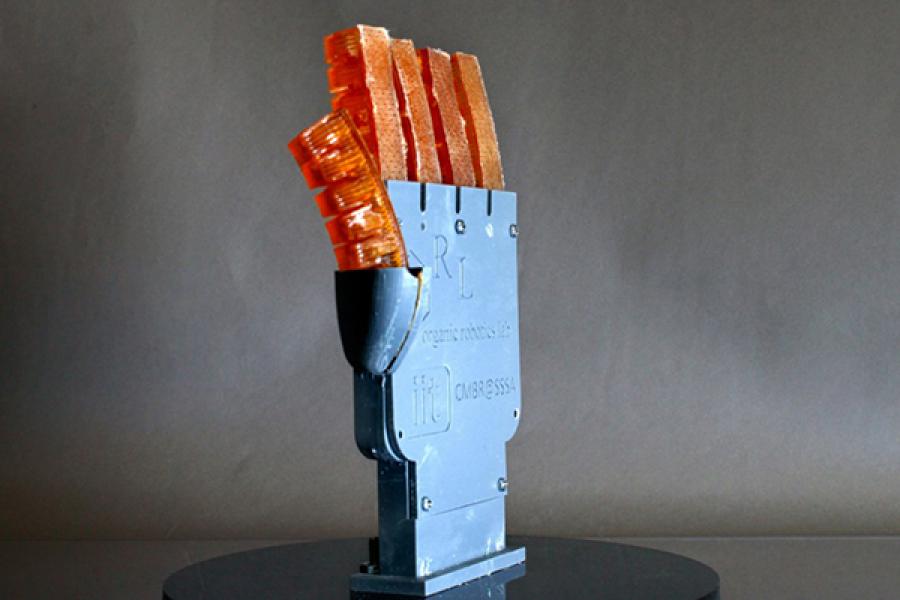 Robotic hand