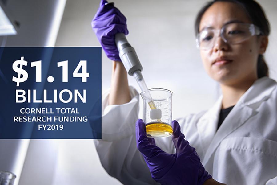 Person working in a lab