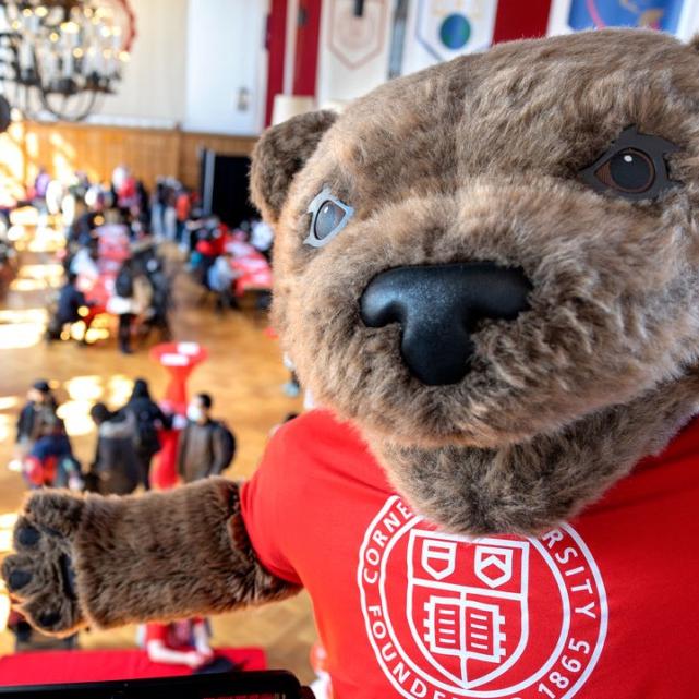Bear mascot in foreground; crowded room below