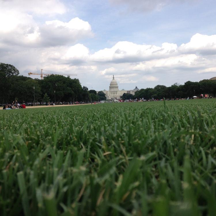 		A grassy field in the foreground; US Capitol dome in the distance
	
