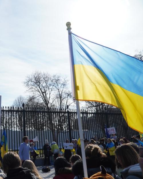 People protest with signs outside a metal fence, holding blue and yellow flags