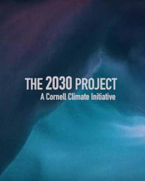 2030 PROJECT LOGO