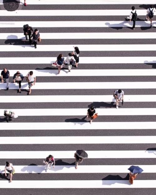 Seen from directly above, 20 people in a striped cross walk