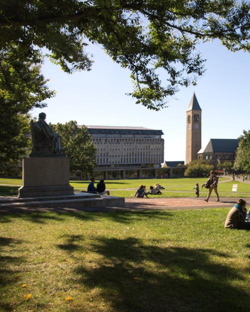 Several people sit on a shadowed lawn between university buildings
