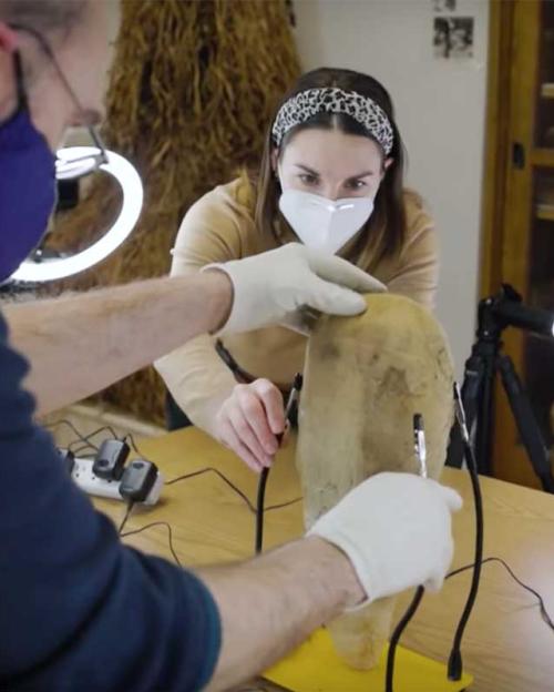Two people wearing gloves work with football-sized museum object