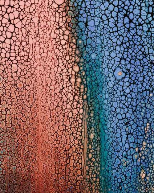 abstract art