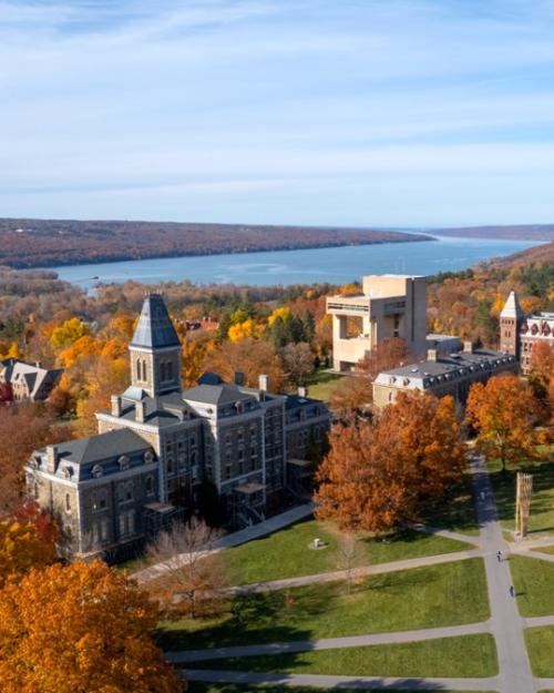 		Aerial view of the Arts Quad in the fall
	