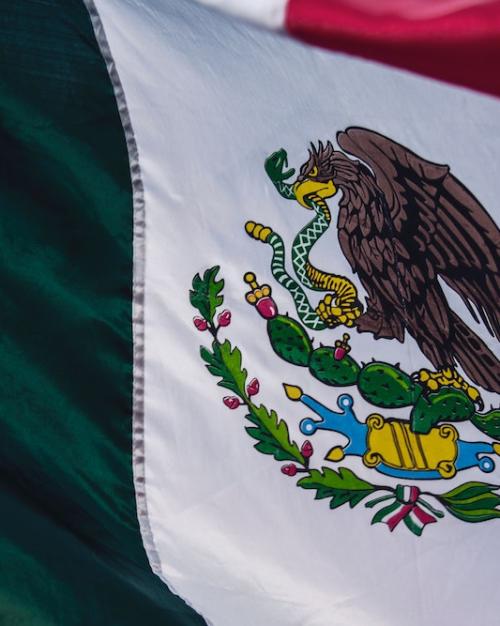 close up of green, white and red flag with eagle crest