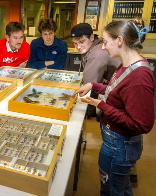 Seven people cluster around a table holding wooden boxes of butterfly specimens