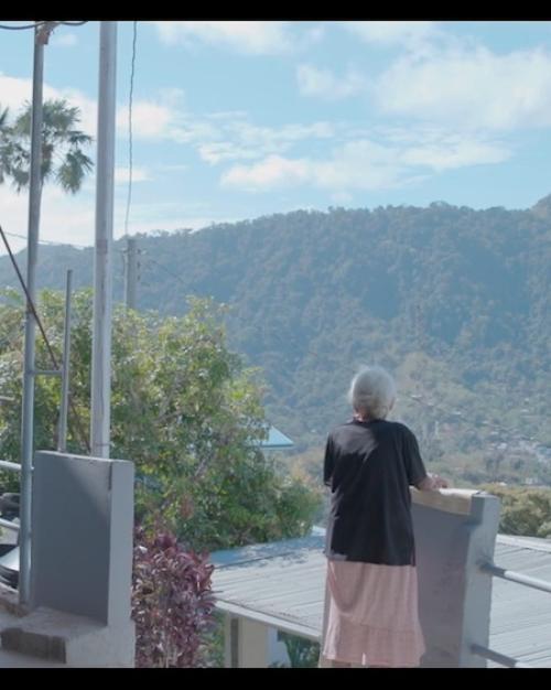 		Person standing on a balcony, looking out at a mountain, blue sky and palm trees
	