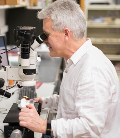  Chris Kitchen/Provided Sturt Manning, the Goldwin Smith Professor of Classical Archaeology, at work in the Cornell Tree-Ring Laboratory.